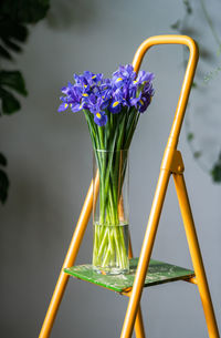 Close up of bouquet of purple irises in glass vase, standing on stepladder in flower store.