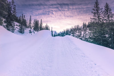 Scenic view of snow covered landscape