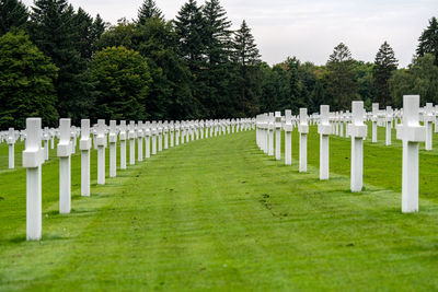 cemetery