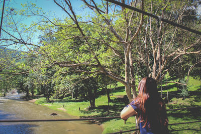 Rear view of woman standing by tree in forest