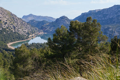 Hike on the trail gr221  through the serra de tramuntana with wonderful views of the cúber reservoir