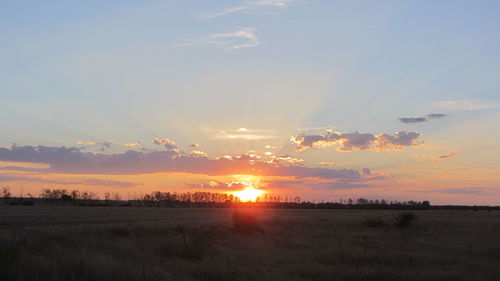 Scenic view of sunset over field