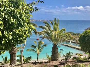 Palm trees by sea against sky