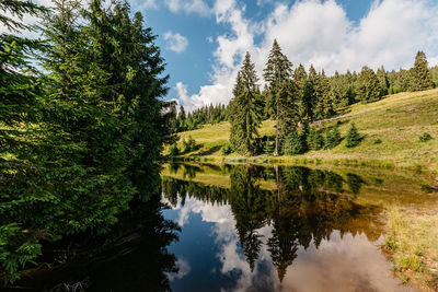 Scenic view of lake by trees against sky