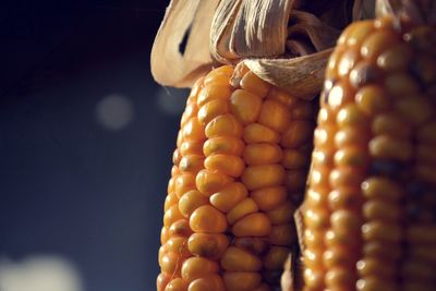 Close-up of corn