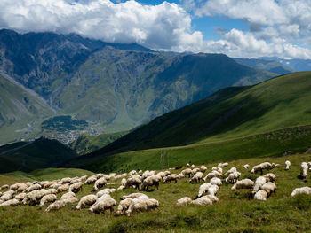 Scenic view of landscape and mountains