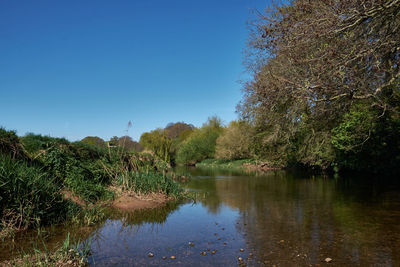 Scenic view of lake against clear blue sky