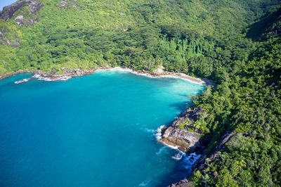 Drone field of view of secret cove with turquoise blue water meeting the forest  seychelles.