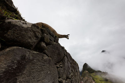 Low angle view of rock formation against sky