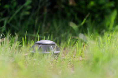 Close-up of an pop-up lawn sprinkler in a green grass