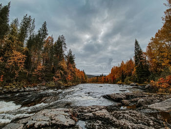 Scenic view of river amidst trees against sky