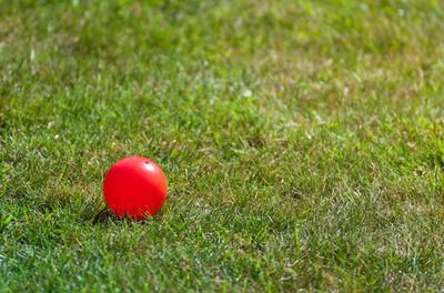 Close-up of apple on grassy field