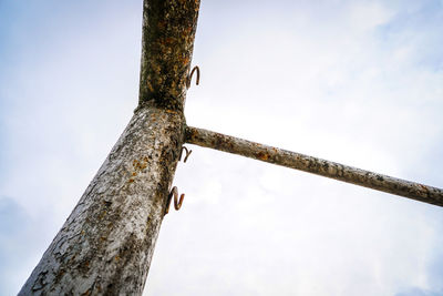 Low angle view of bird perching on tree against sky