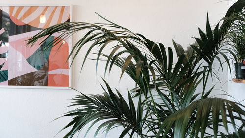 Close-up of potted plant against wall