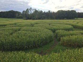 Scenic view of field against cloudy sky