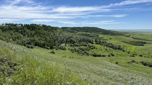 Scenic view of landscape against sky