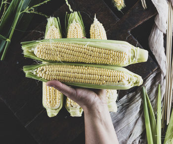 High angle view of hand holding corns