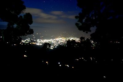 Silhouette trees against sky at night