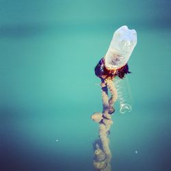 Reflection of trees in water