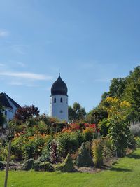 Plants by trees and building against sky