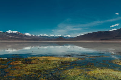 Scenic view of lake