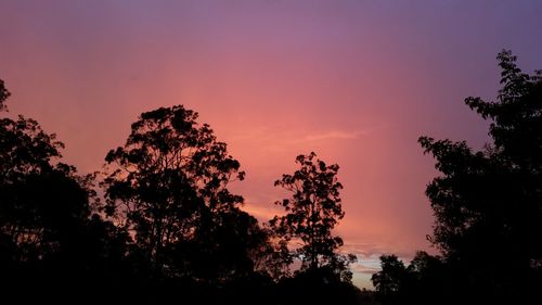 Low angle view of silhouette trees against sky