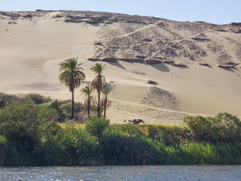 Panoramic view of beach