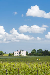 agriculture