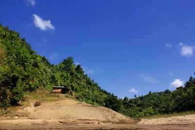 Dirt road amidst trees against sky