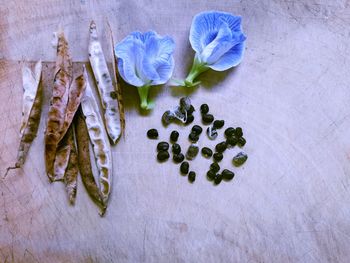 High angle view of purple roses on table