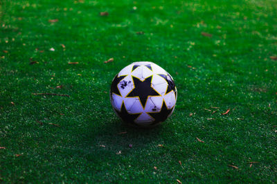 Soccer ball on grassy field