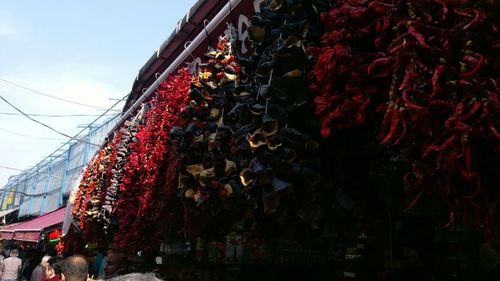 Low angle view of red wall
