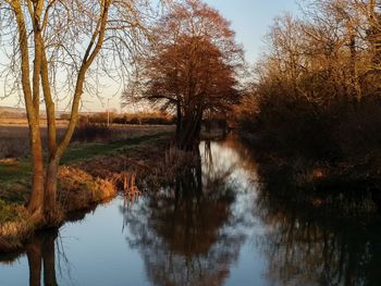 Reflection of trees in river against sky