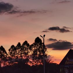 Low angle view of silhouette trees against sky during sunset