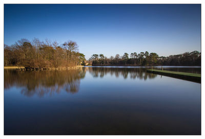 Reflection of trees in calm lake