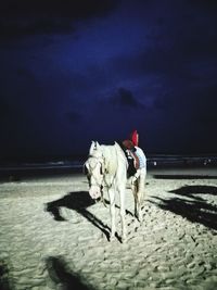 Horse riding on beach against sky