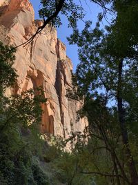 Low angle view of rock formation amidst trees against sky