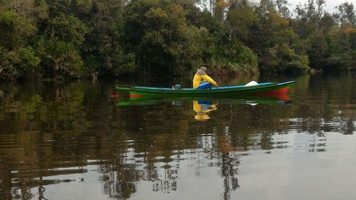 Boat in lake by trees