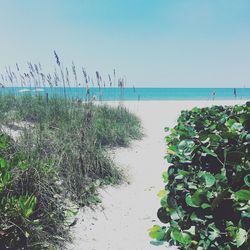 Scenic view of sea against clear sky