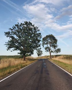 Road amidst trees on field against sky