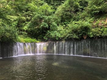 Scenic view of waterfall in forest