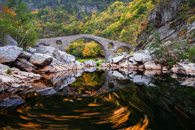 Arch bridge over river amidst trees