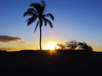 Silhouette of trees at sunset