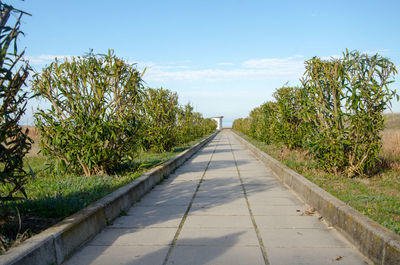 Road amidst trees against sky