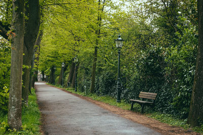 Empty bench by footpath in park