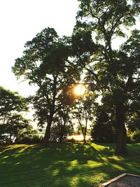 Scenic view of grassy field against sky