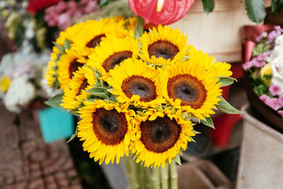 Close-up of sunflower on plant