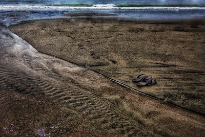 High angle view of crab on beach