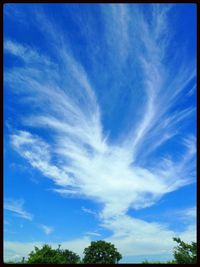 Low angle view of trees against cloudy sky