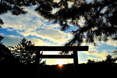 Silhouette of trees at sunset